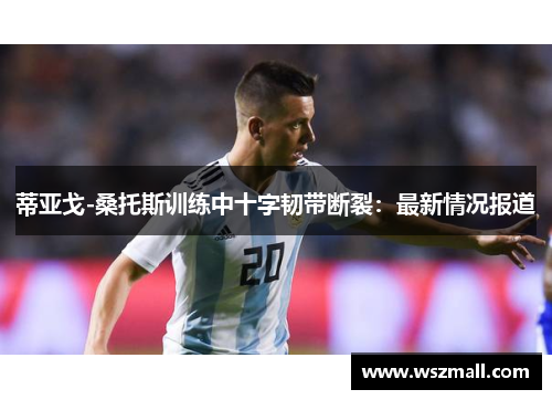 蒂亚戈-桑托斯训练中十字韧带断裂:最新情况报道 蒂亚戈-桑托斯训练中十字韧带断裂:最新情况报道